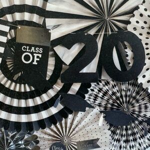 ⚡️Brand New Party Fans